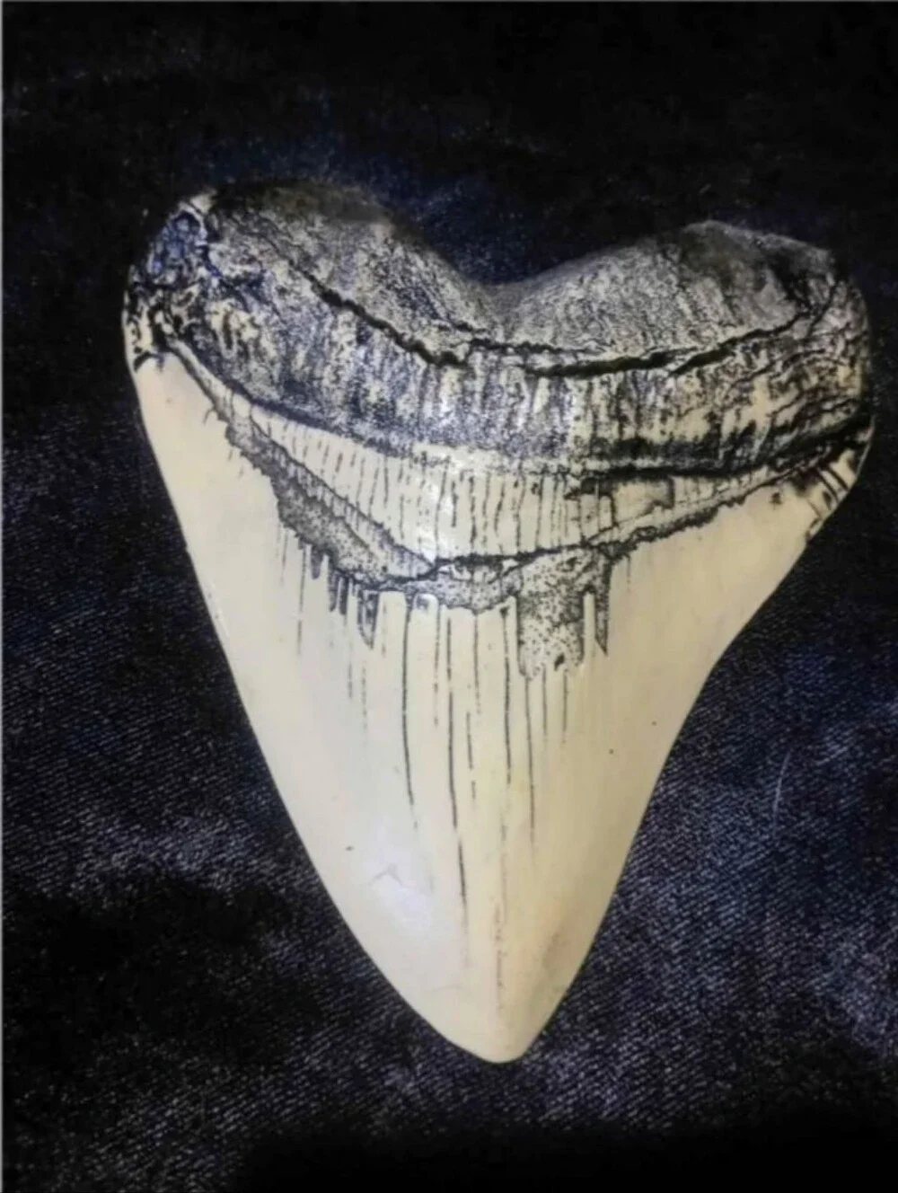 Shark Tooth - Ivory and Charcoal Tones